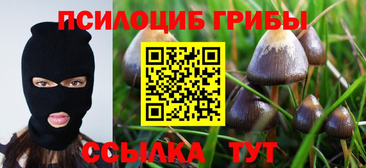 Новотроицк  купить наркотик  Вход с VPN  Псилоцибиновые грибы мухоморы 
