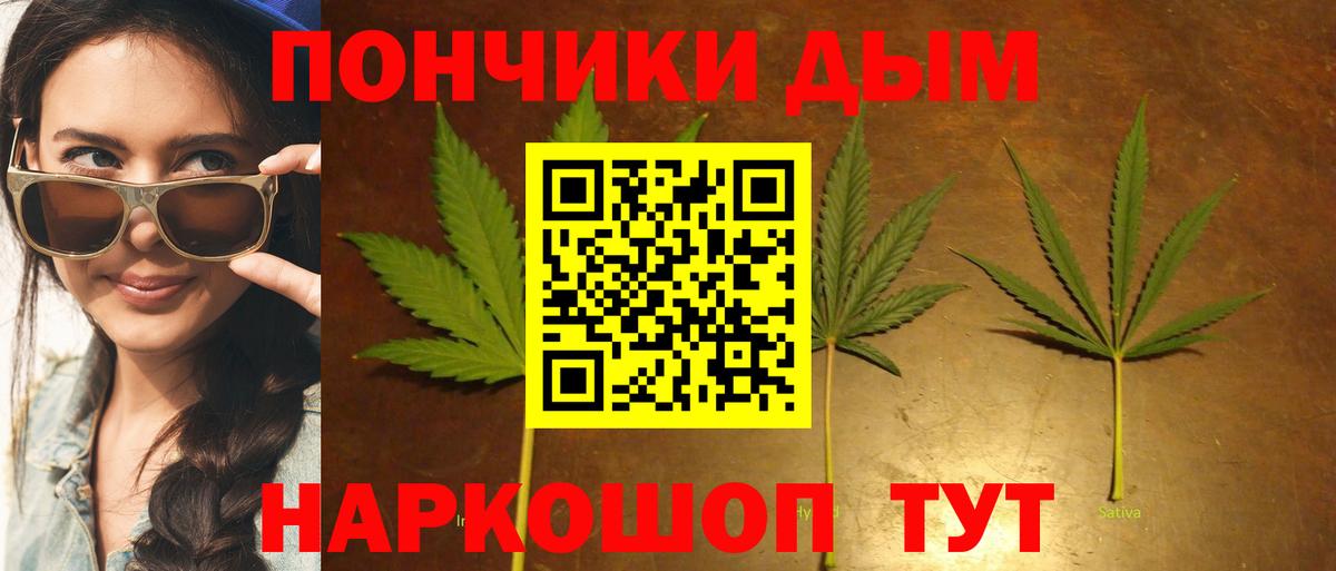 Каннабис семена Новотроицк